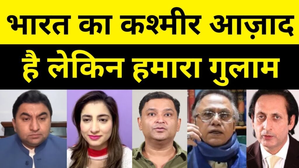 Bharat ka Kashmir Azad hai Lekin Humara Gulam | Pakistani reaction